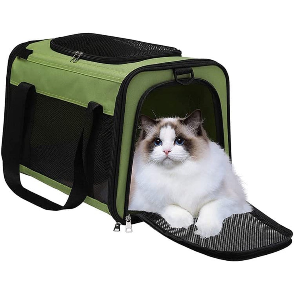 Floofi Portable Pet Carrier-L Size (Green)